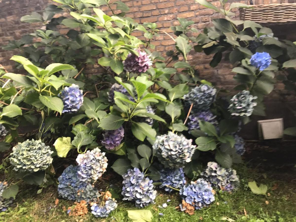 B&B Charming Farmhouse Prinsenbeek 外观 照片